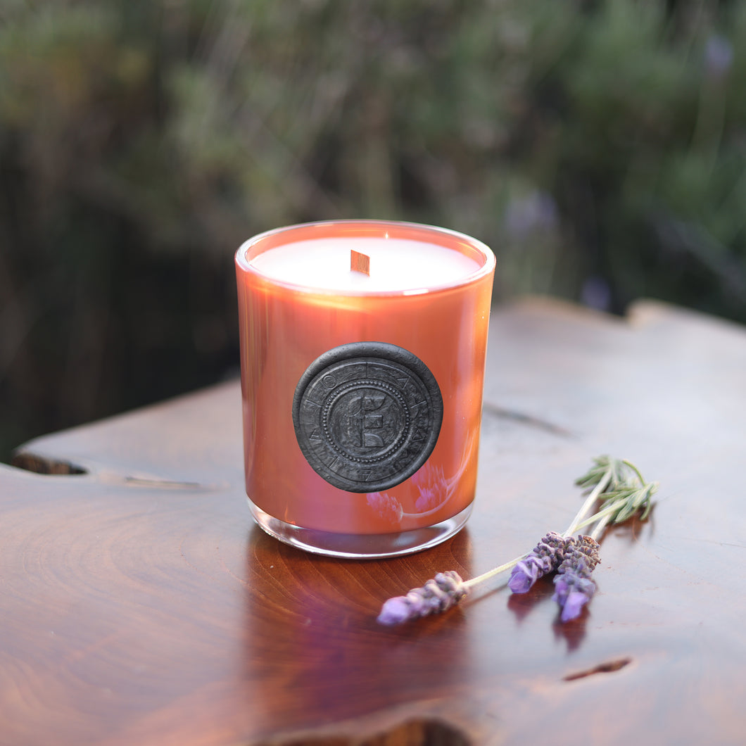 Wildwood Song Coconut & Beeswax Candle