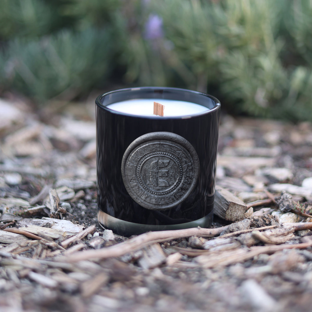 Earth Mother Coconut & Beeswax Candle - Black